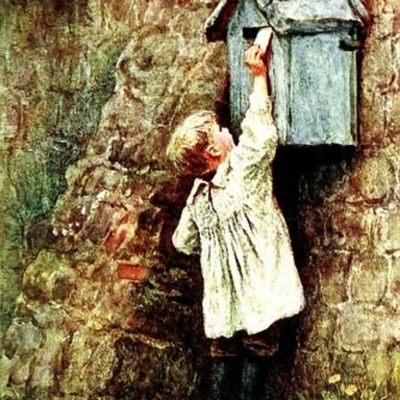 Meet your Posher, Cici... - Picture 8 of 16